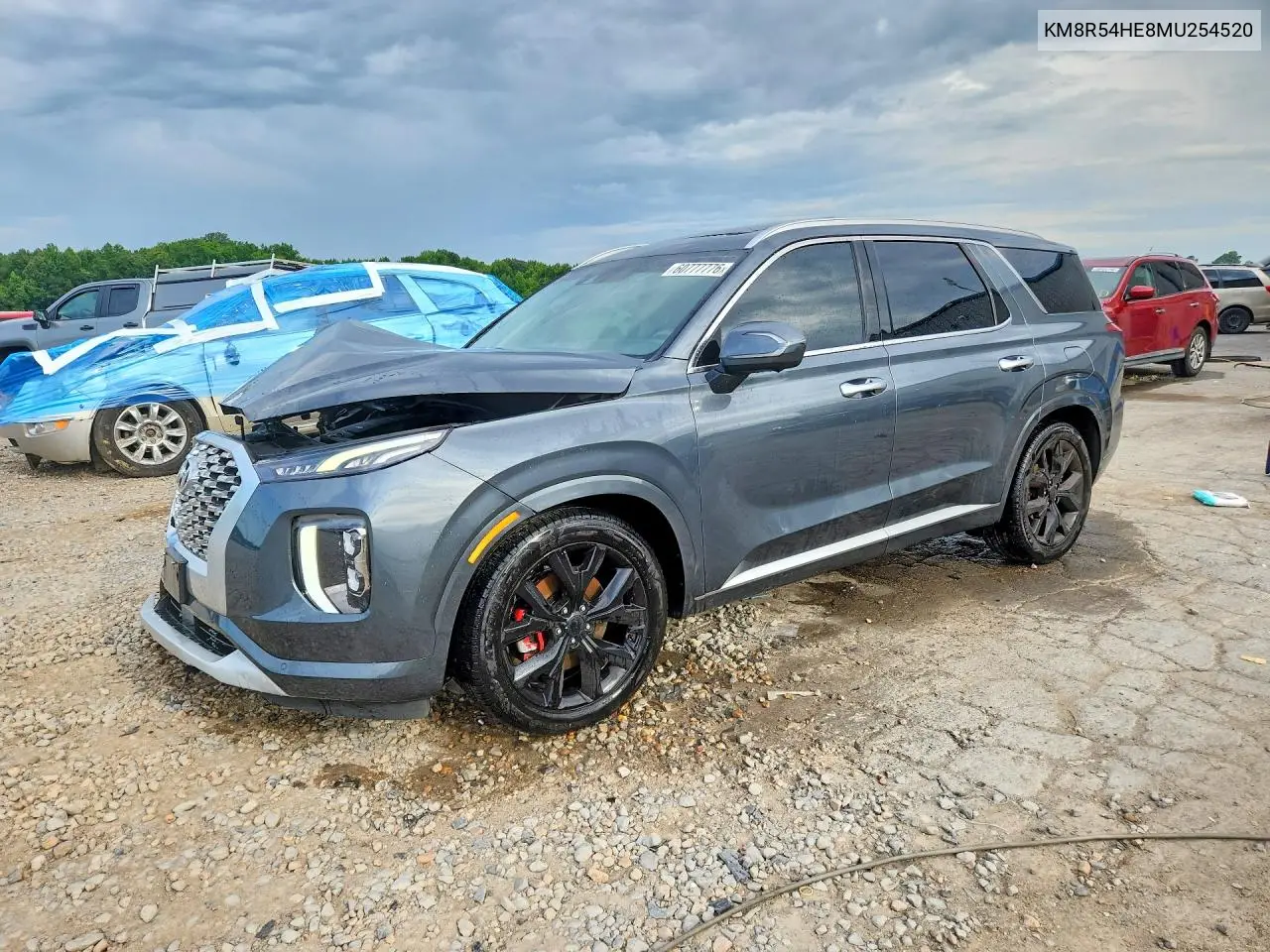 2021 Hyundai Palisade Limited VIN: KM8R54HE8MU254520 Lot: 60777776