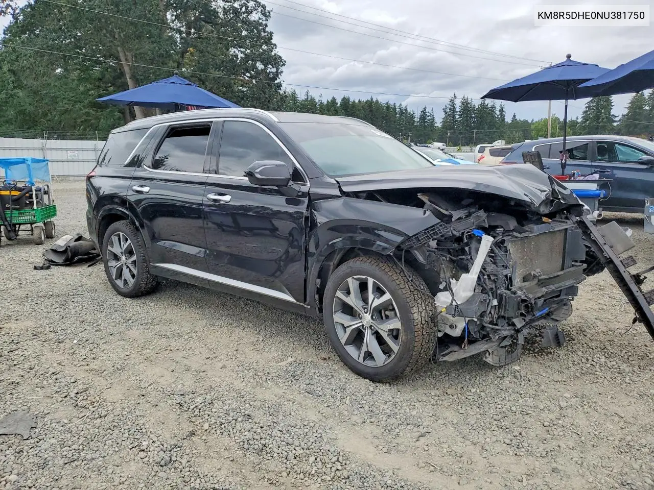 2022 Hyundai Palisade Limited VIN: KM8R5DHE0NU381750 Lot: 85966755