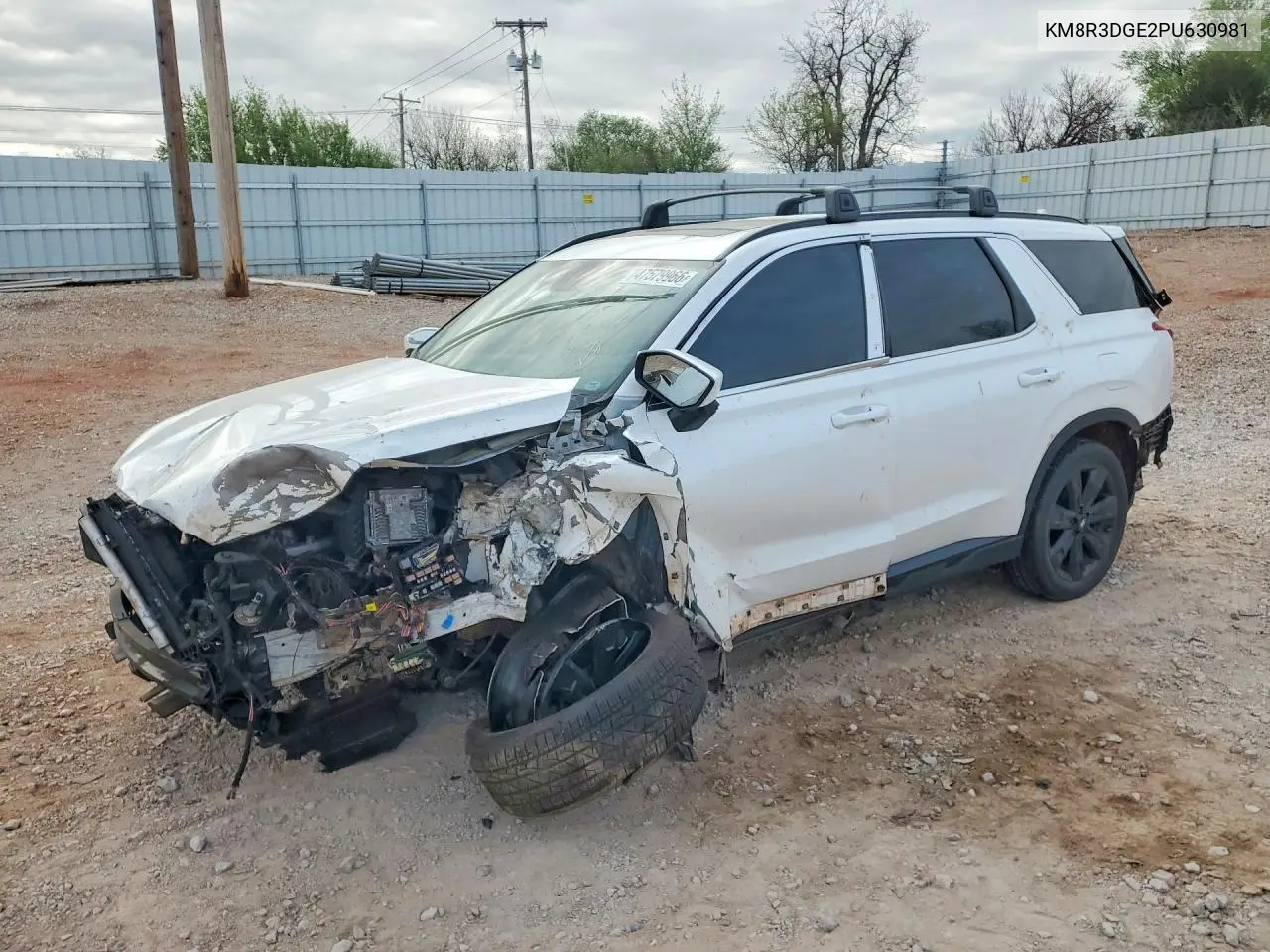 2023 Hyundai Palisade Xrt VIN: KM8R3DGE2PU630981 Lot: 47579966