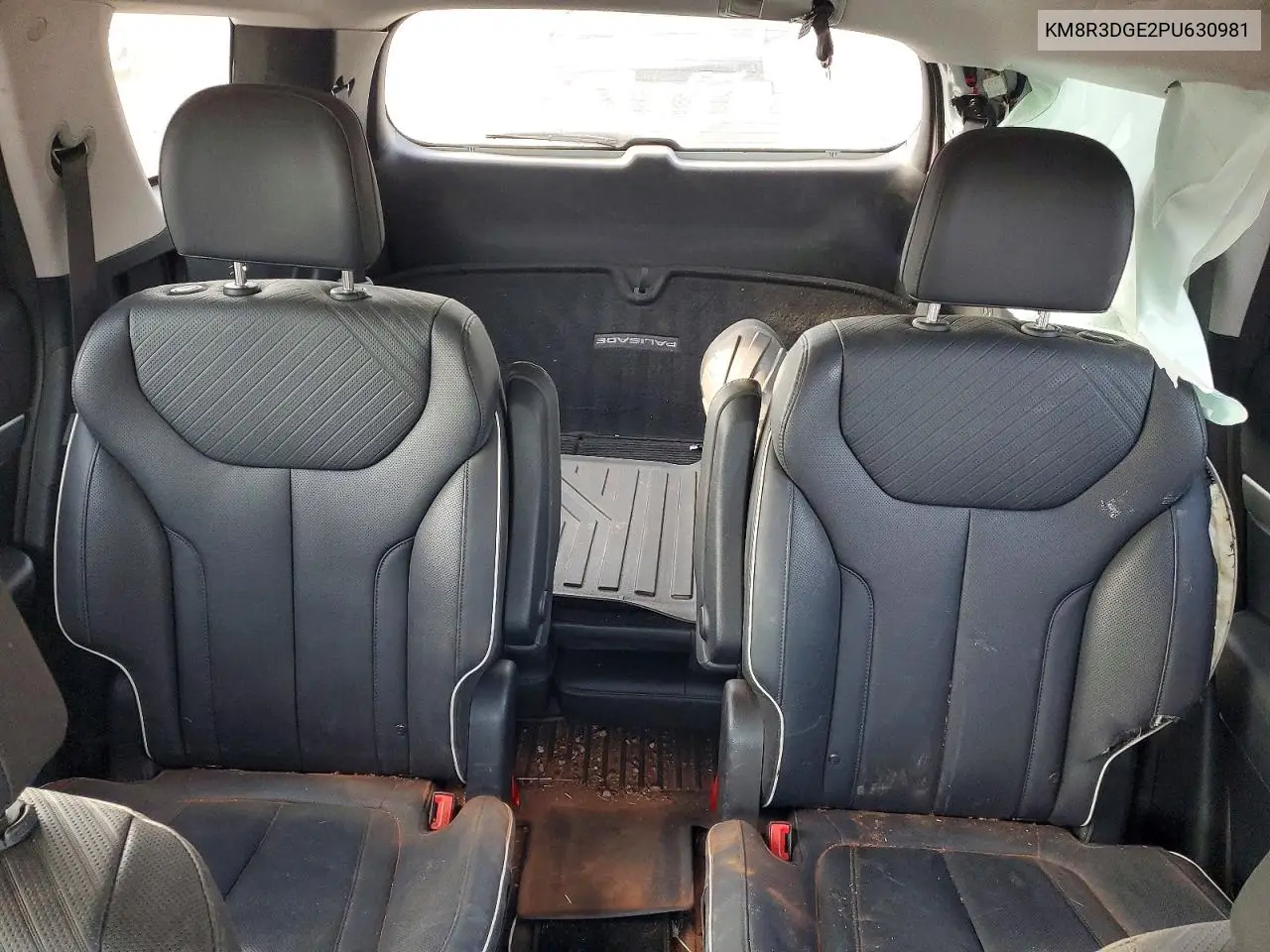 2023 Hyundai Palisade Xrt VIN: KM8R3DGE2PU630981 Lot: 47579966