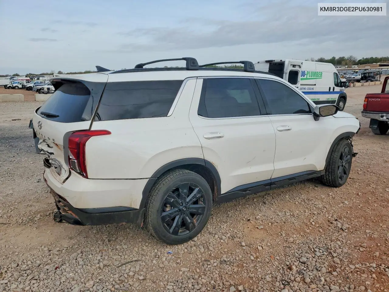2023 Hyundai Palisade Xrt VIN: KM8R3DGE2PU630981 Lot: 47579966