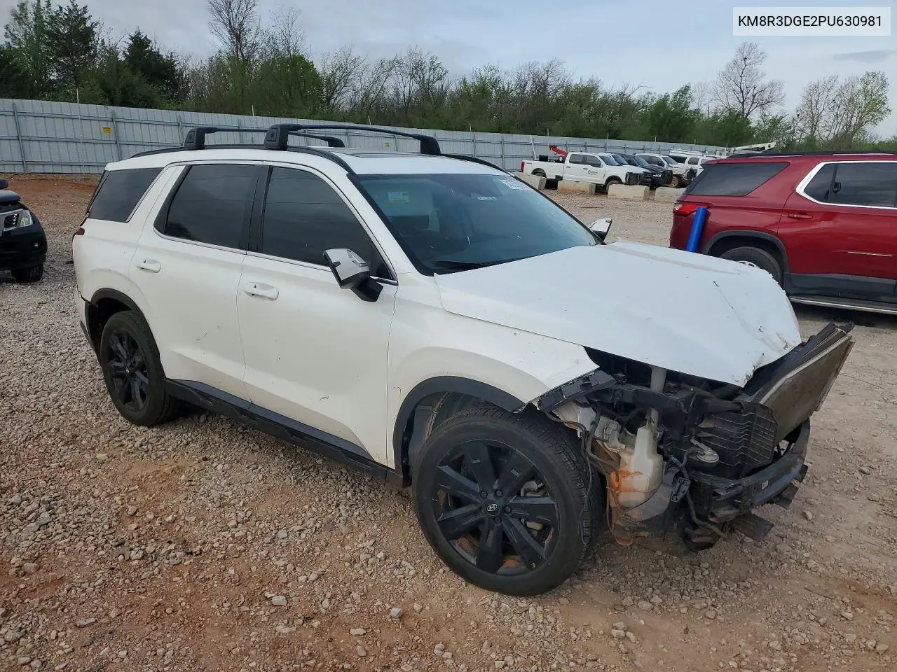 2023 Hyundai Palisade Xrt VIN: KM8R3DGE2PU630981 Lot: 47579966