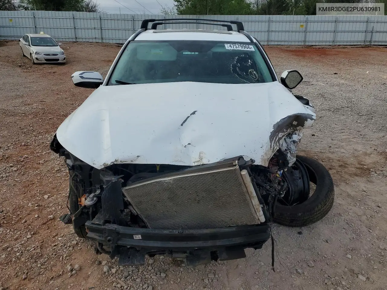 2023 Hyundai Palisade Xrt VIN: KM8R3DGE2PU630981 Lot: 47579966