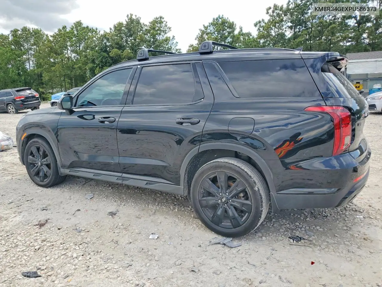 2023 Hyundai Palisade Xrt VIN: KM8R34GEXPU586373 Lot: 54416176
