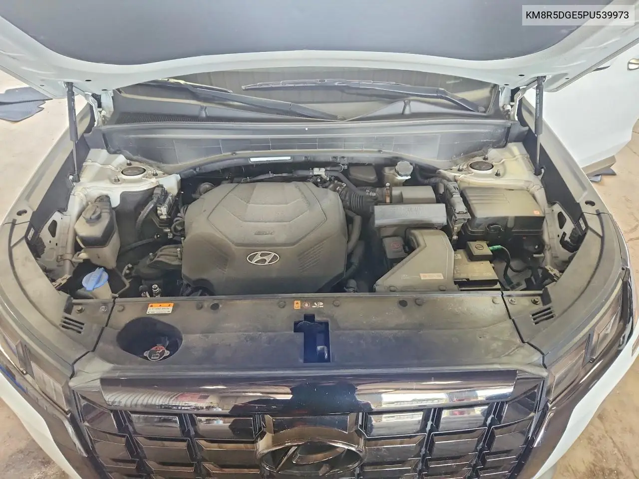 2023 Hyundai Palisade Limited VIN: KM8R5DGE5PU539973 Lot: 59893376