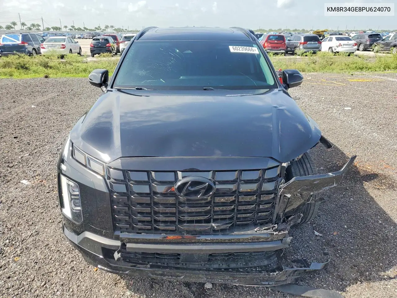 2023 Hyundai Palisade Xrt VIN: KM8R34GE8PU624070 Lot: 60239666