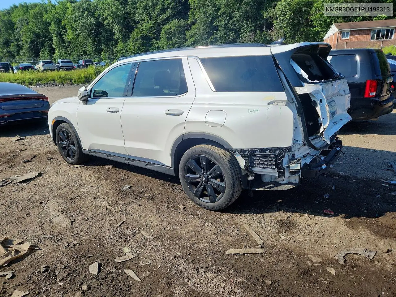 2023 Hyundai Palisade Xrt VIN: KM8R3DGE1PU498313 Lot: 60463856