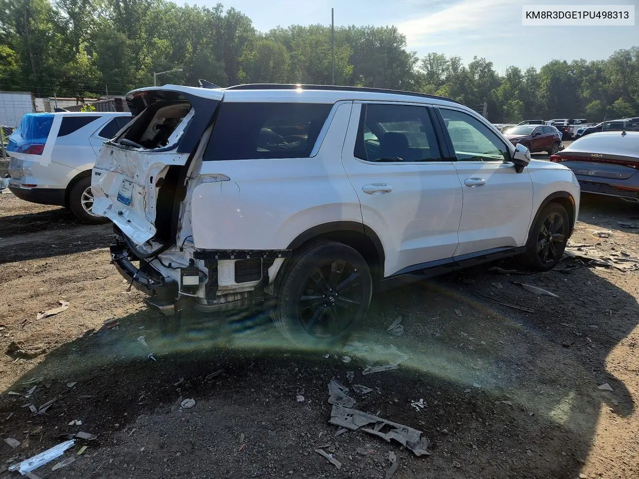 2023 Hyundai Palisade Xrt VIN: KM8R3DGE1PU498313 Lot: 60463856