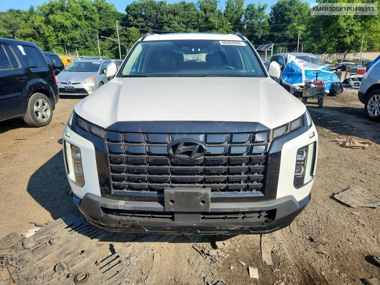 2023 Hyundai Palisade Xrt VIN: KM8R3DGE1PU498313 Lot: 60463856