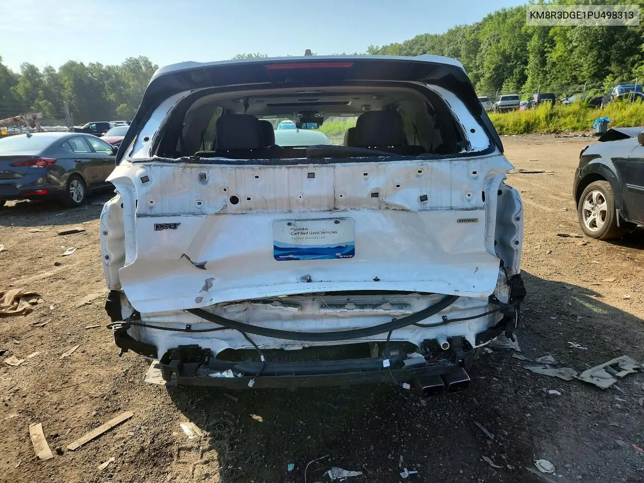 2023 Hyundai Palisade Xrt VIN: KM8R3DGE1PU498313 Lot: 60463856