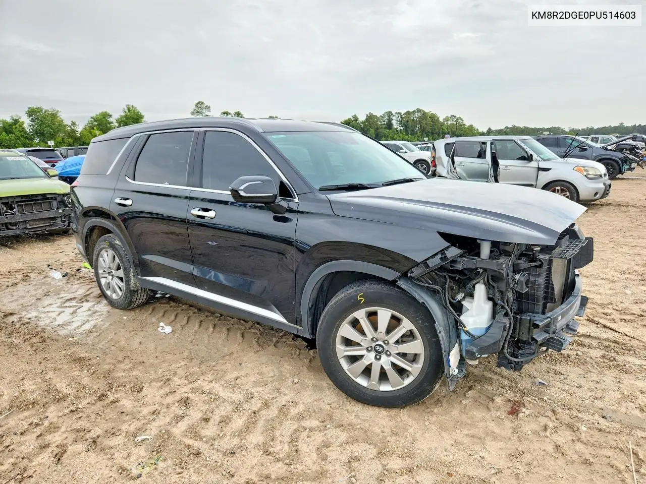 2023 Hyundai Palisade Sel VIN: KM8R2DGE0PU514603 Lot: 61200776
