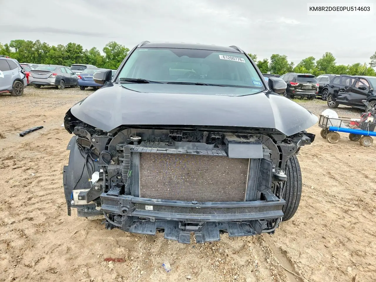2023 Hyundai Palisade Sel VIN: KM8R2DGE0PU514603 Lot: 61200776