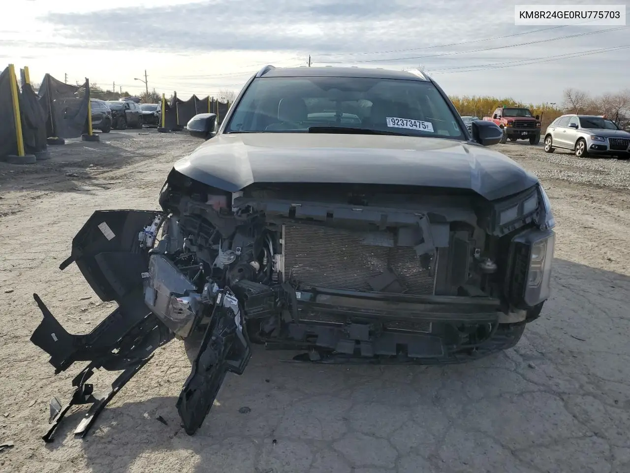 KM8R24GE0RU775703 2024 Hyundai Palisade Sel