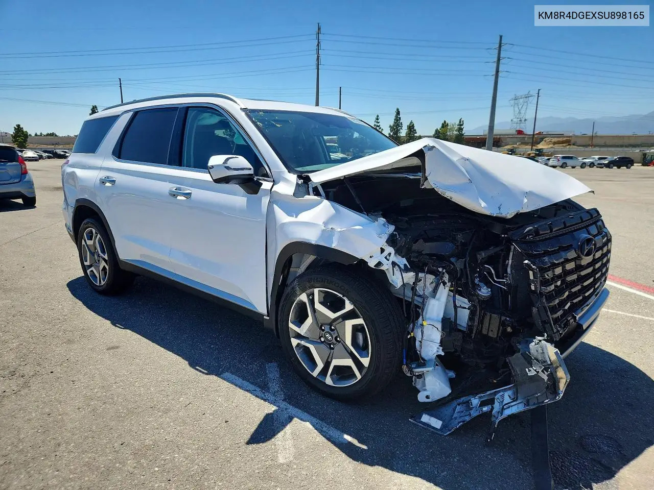2025 Hyundai Palisade Sel Premium VIN: KM8R4DGEXSU898165 Lot: 59396516