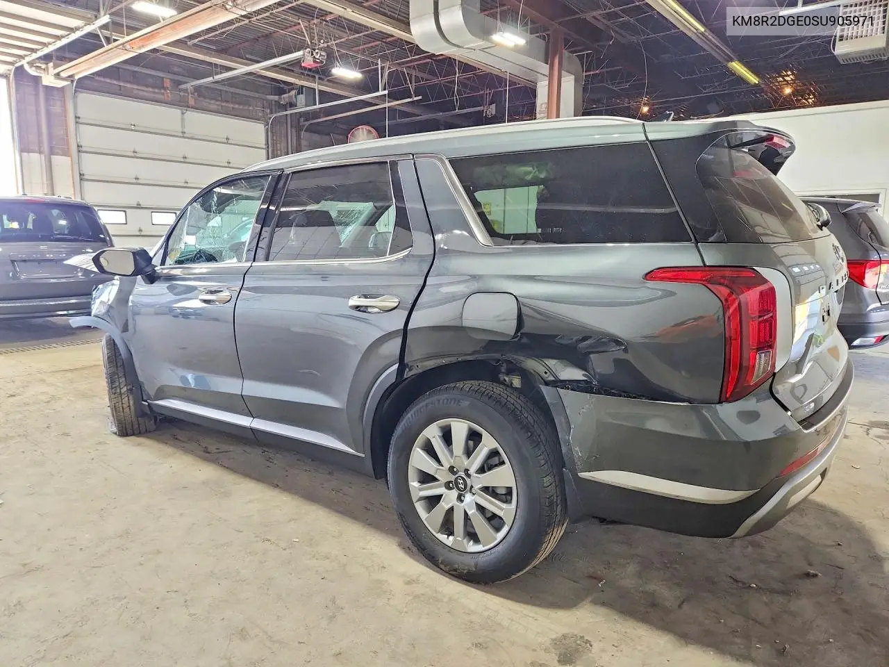2025 Hyundai Palisade Sel VIN: KM8R2DGE0SU905971 Lot: 61504196