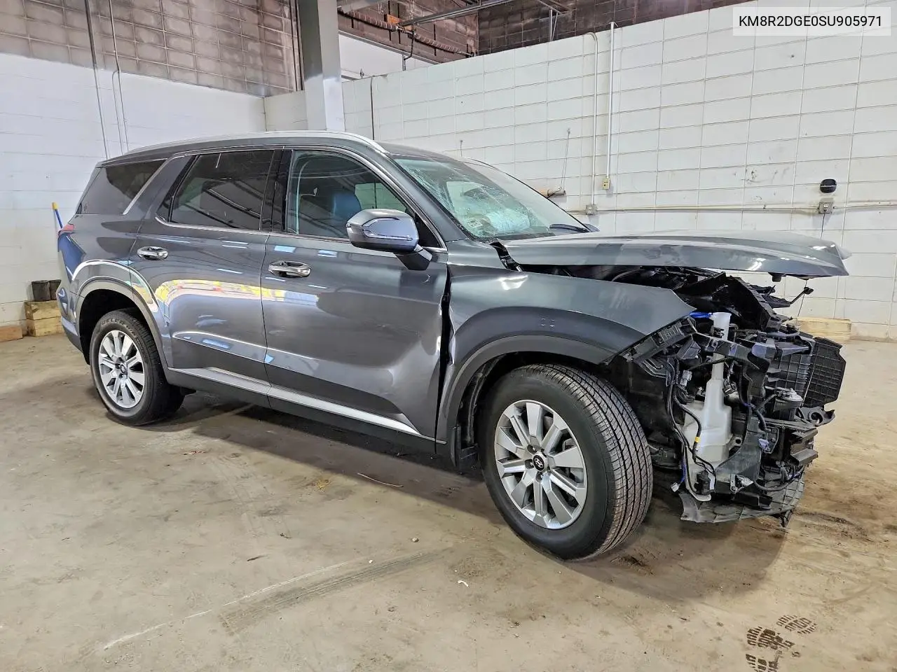 2025 Hyundai Palisade Sel VIN: KM8R2DGE0SU905971 Lot: 61504196