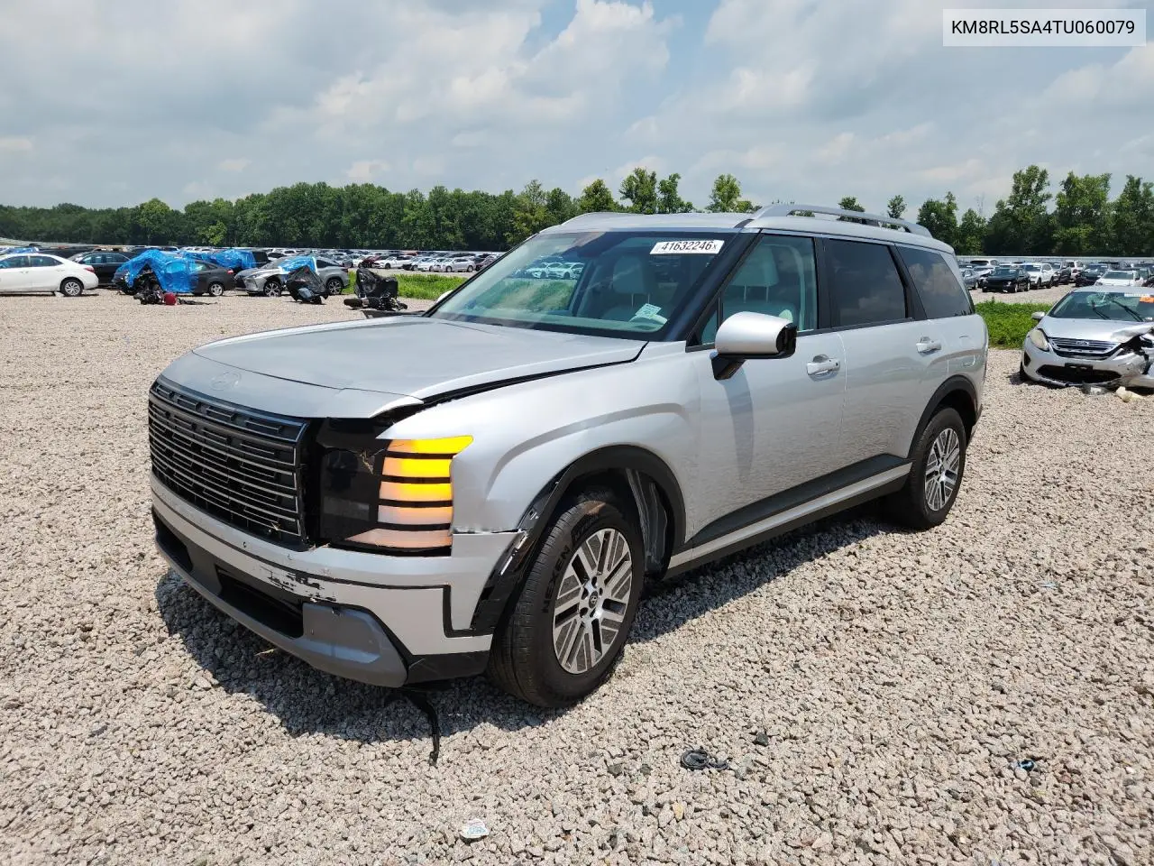2026 Hyundai Palisade Blue Sel VIN: KM8RL5SA4TU060079 Lot: 41632246