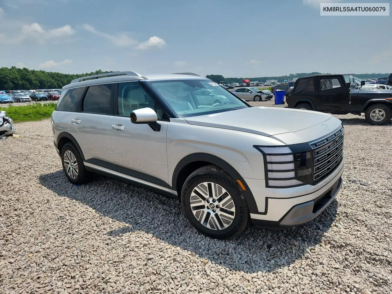 2026 Hyundai Palisade Blue Sel VIN: KM8RL5SA4TU060079 Lot: 41632246