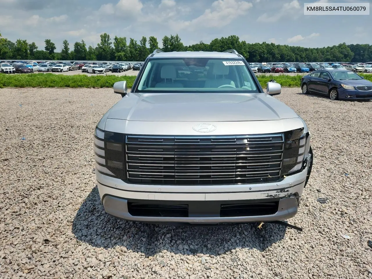 2026 Hyundai Palisade Blue Sel VIN: KM8RL5SA4TU060079 Lot: 41632246