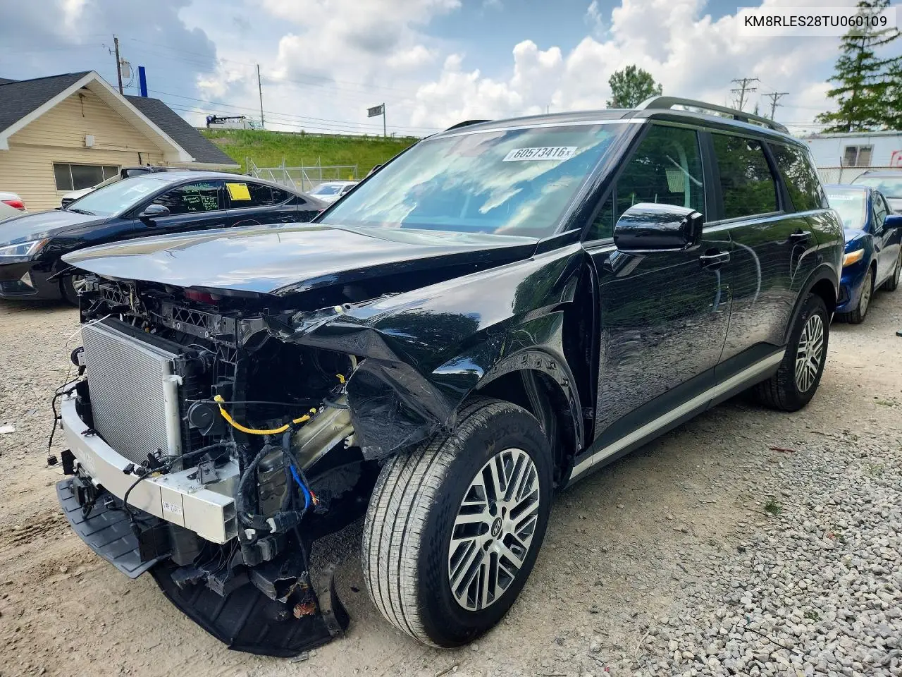 2026 Hyundai Palisade Sel VIN: KM8RLES28TU060109 Lot: 60573416