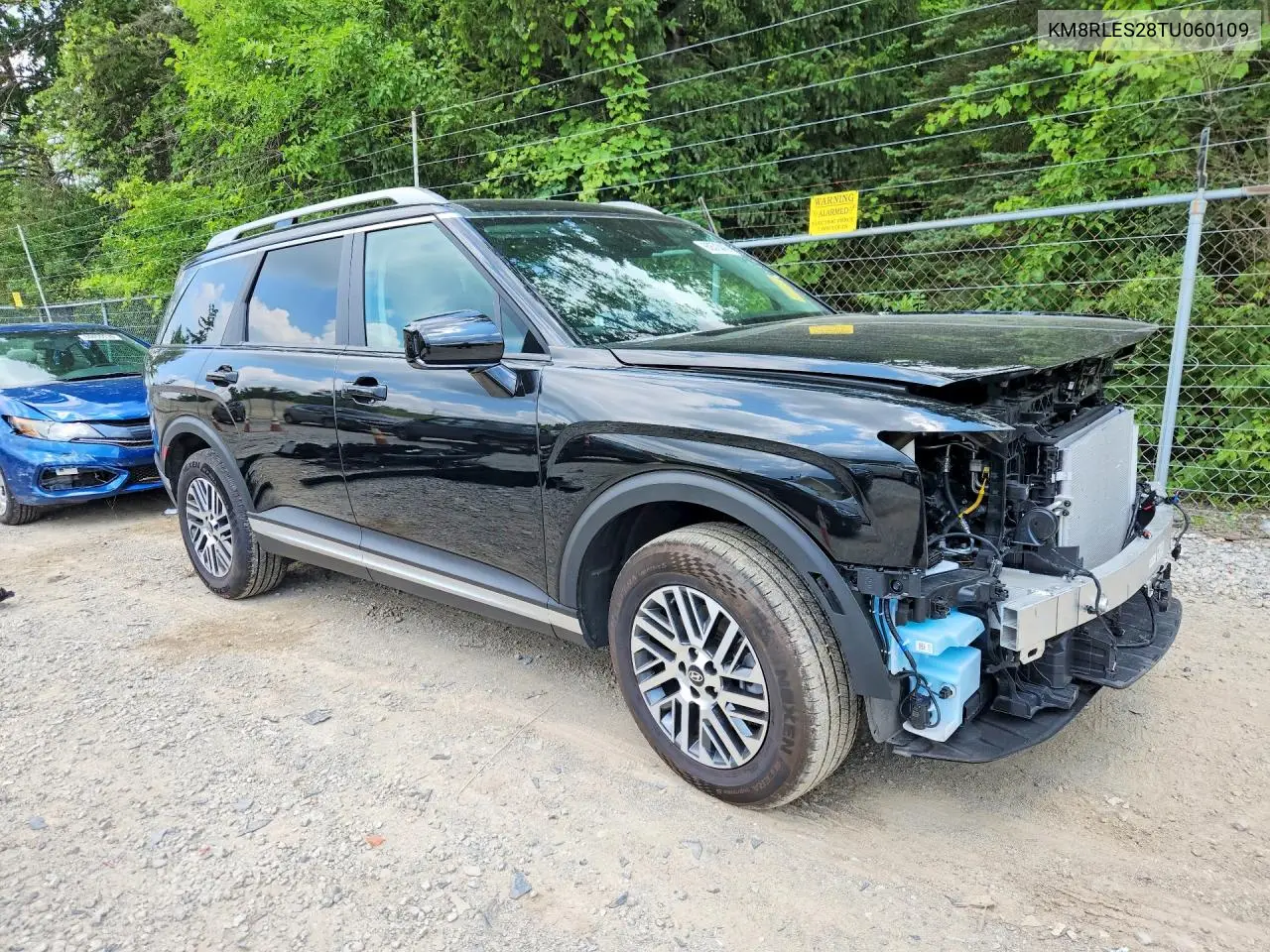 2026 Hyundai Palisade Sel VIN: KM8RLES28TU060109 Lot: 60573416