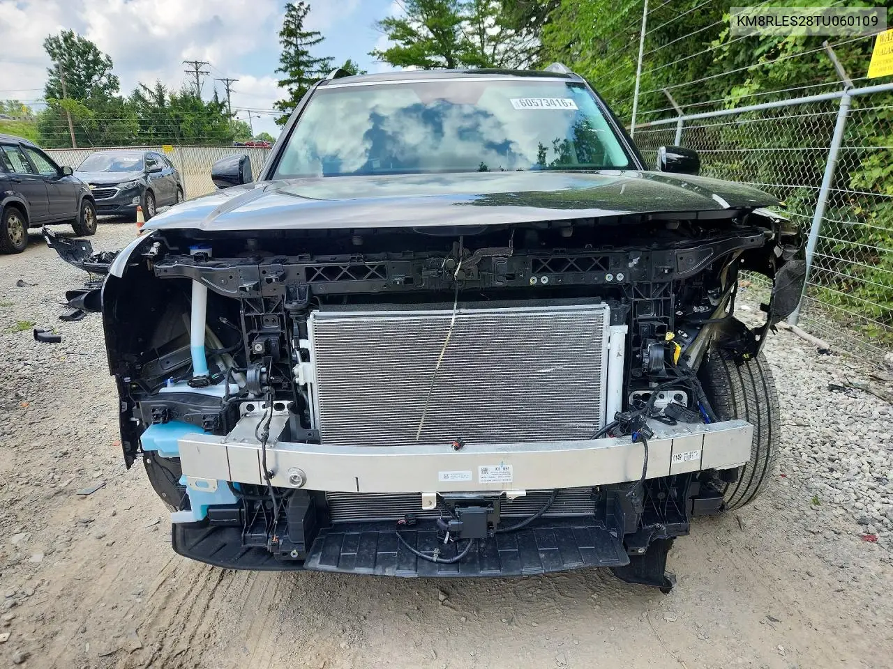 2026 Hyundai Palisade Sel VIN: KM8RLES28TU060109 Lot: 60573416