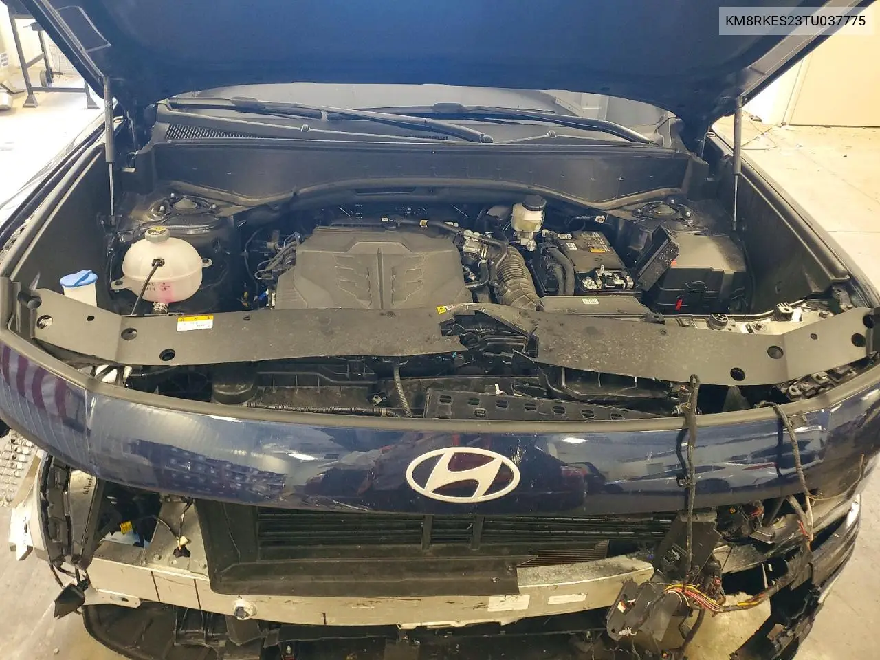 2026 Hyundai Palisade Limited VIN: KM8RKES23TU037775 Lot: 60774546
