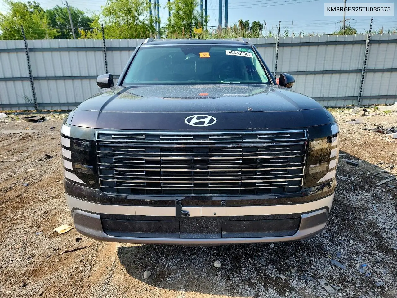 2026 Hyundai Palisade Sel Convenience VIN: KM8RGES25TU035575 Lot: 60835596