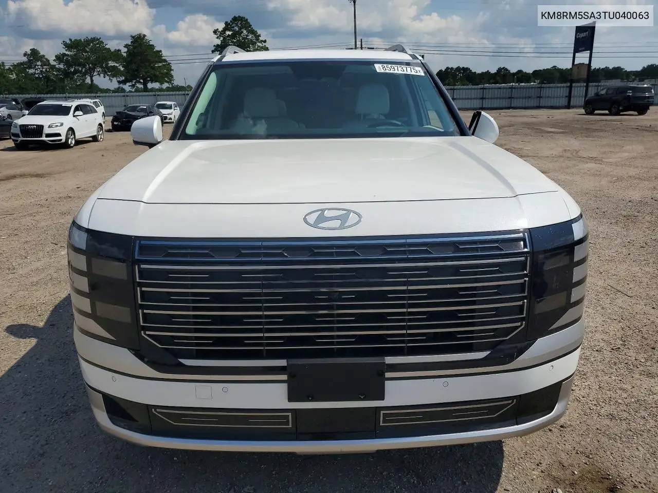 2026 Hyundai Palisade Calligraphy VIN: KM8RM5SA3TU040063 Lot: 85973775
