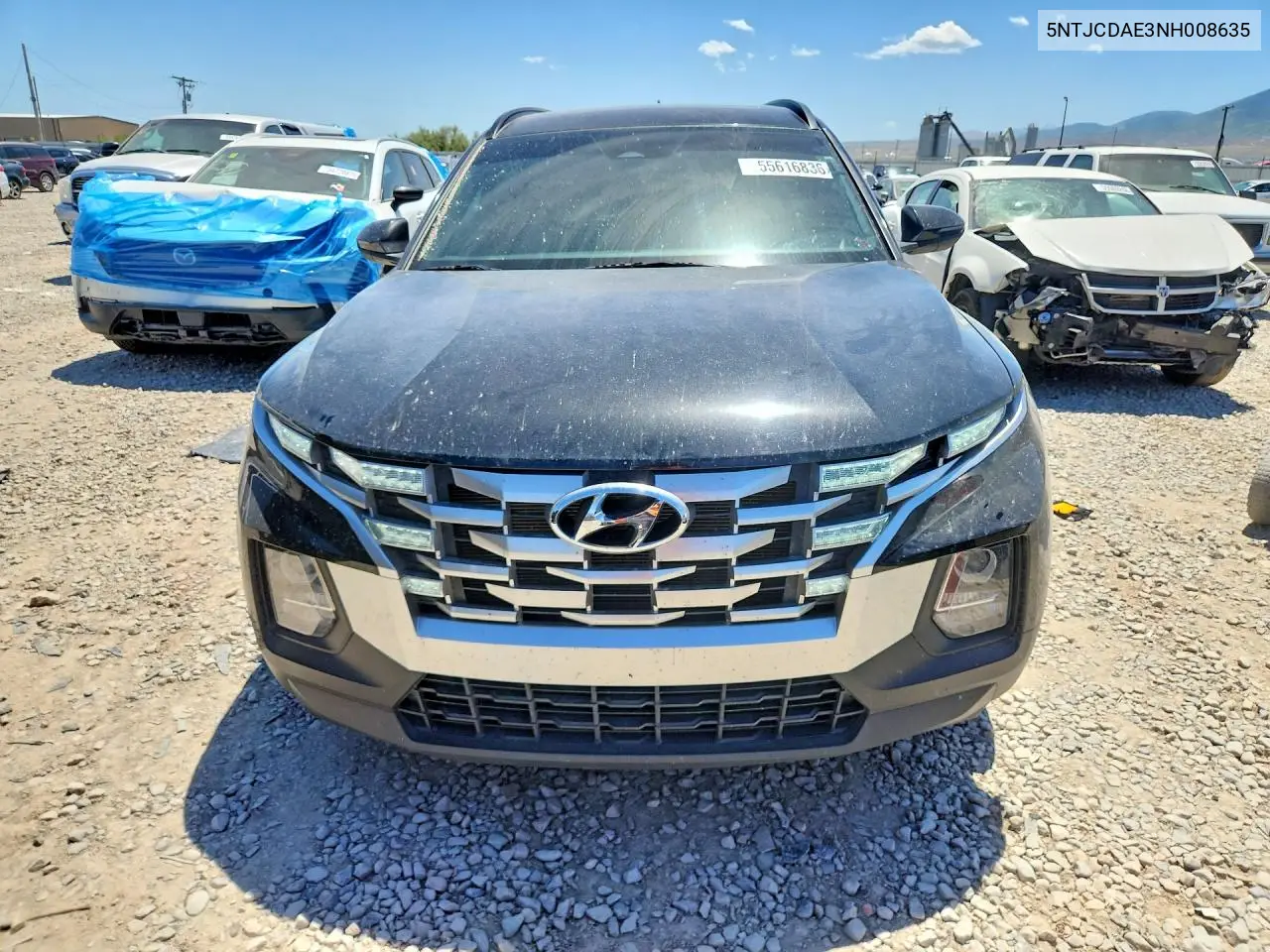 2022 Hyundai Santa Cruz Sel VIN: 5NTJCDAE3NH008635 Lot: 55616836