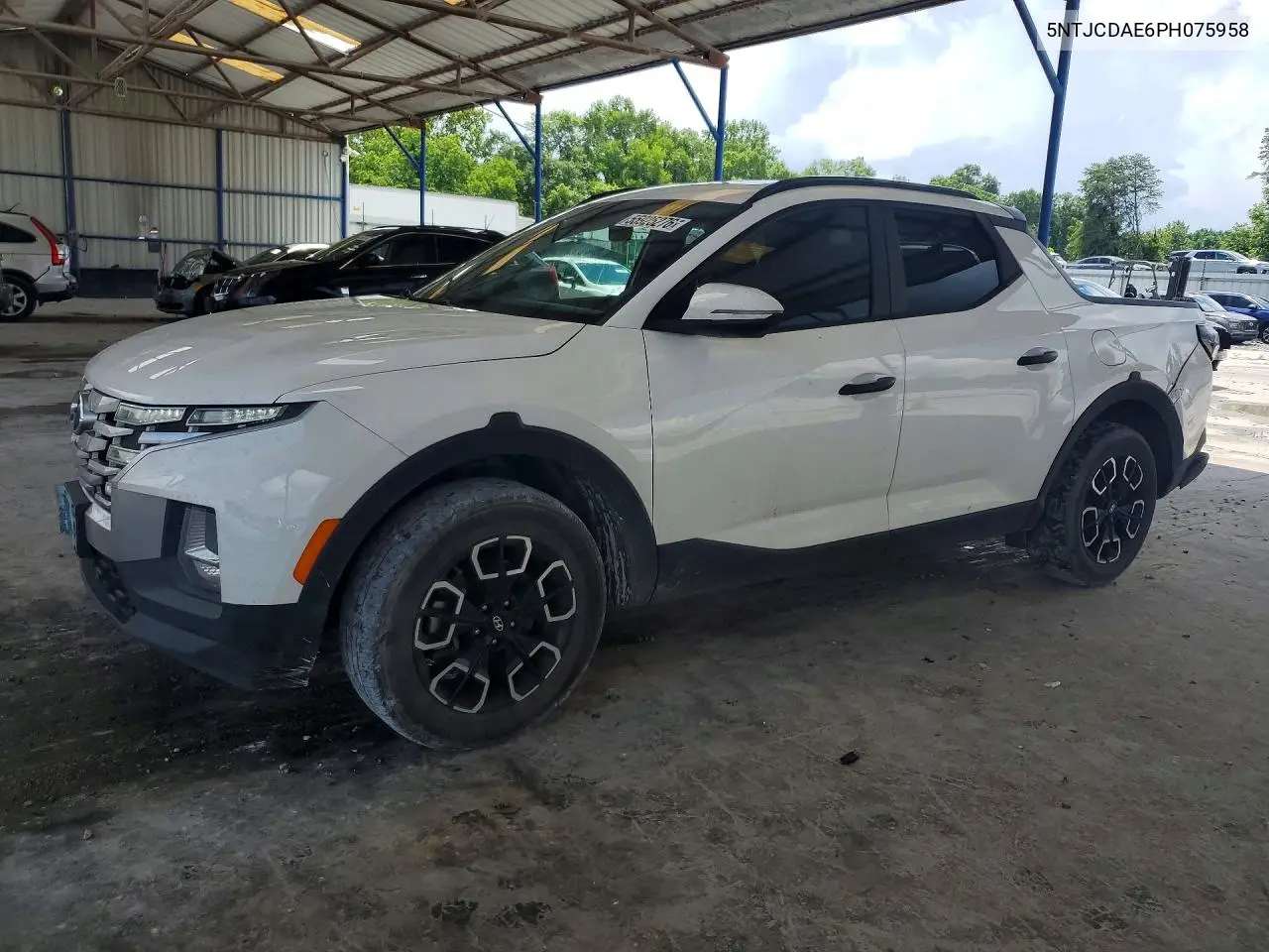 2023 Hyundai Santa Cruz Sel VIN: 5NTJCDAE6PH075958 Lot: 55925276