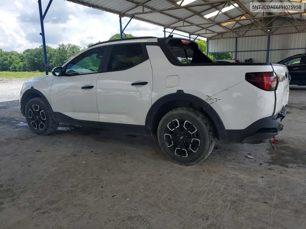 2023 Hyundai Santa Cruz Sel VIN: 5NTJCDAE6PH075958 Lot: 55925276