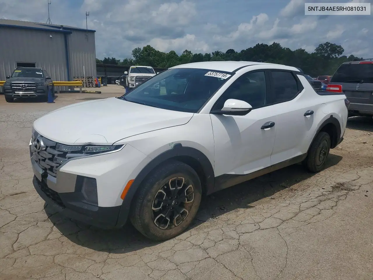 2024 Hyundai Santa Cruz Sel VIN: 5NTJB4AE5RH081031 Lot: 53757716