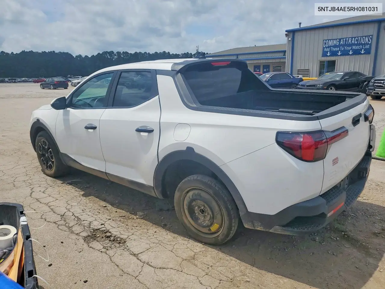 2024 Hyundai Santa Cruz Sel VIN: 5NTJB4AE5RH081031 Lot: 53757716