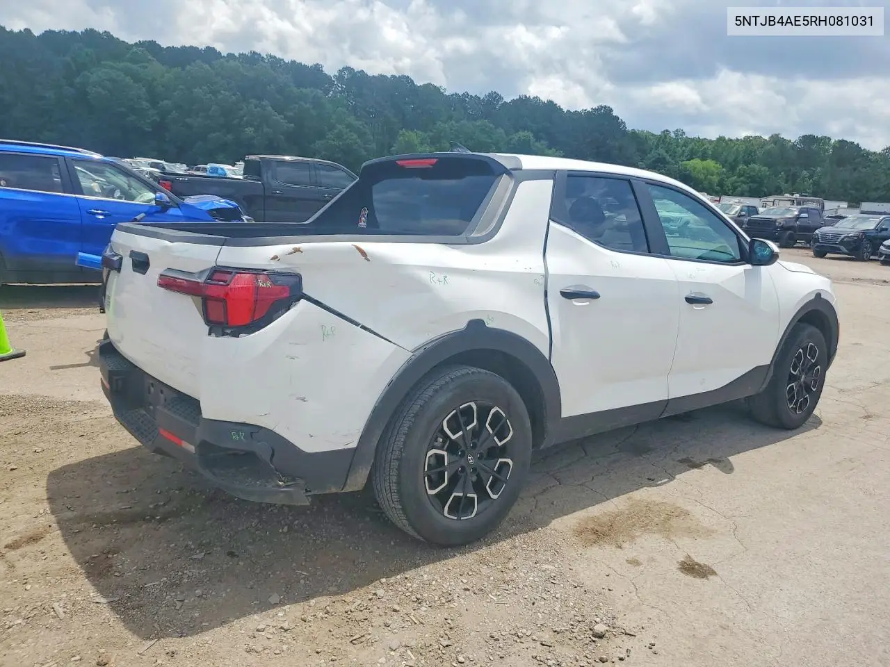 2024 Hyundai Santa Cruz Sel VIN: 5NTJB4AE5RH081031 Lot: 53757716