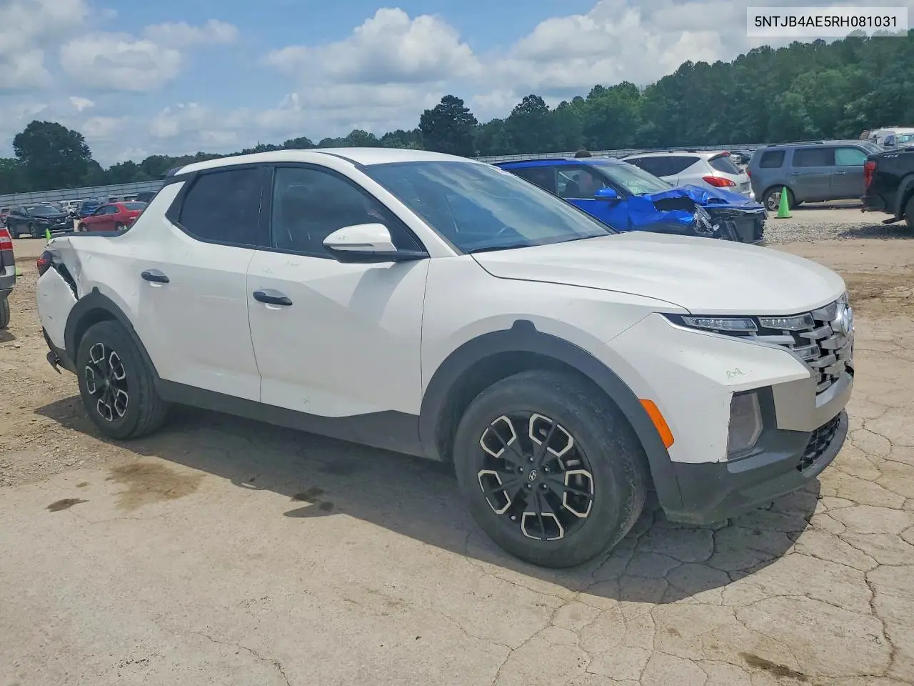 2024 Hyundai Santa Cruz Sel VIN: 5NTJB4AE5RH081031 Lot: 53757716