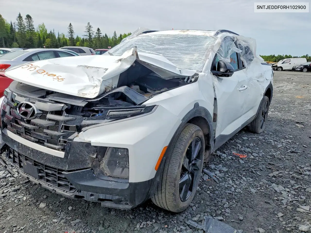 2024 Hyundai Santa Cruz Limited VIN: 5NTJEDDF0RH102900 Lot: 54504056