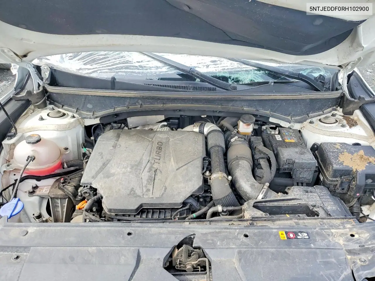 2024 Hyundai Santa Cruz Limited VIN: 5NTJEDDF0RH102900 Lot: 54504056