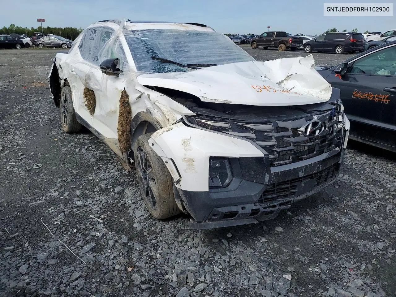 2024 Hyundai Santa Cruz Limited VIN: 5NTJEDDF0RH102900 Lot: 54504056