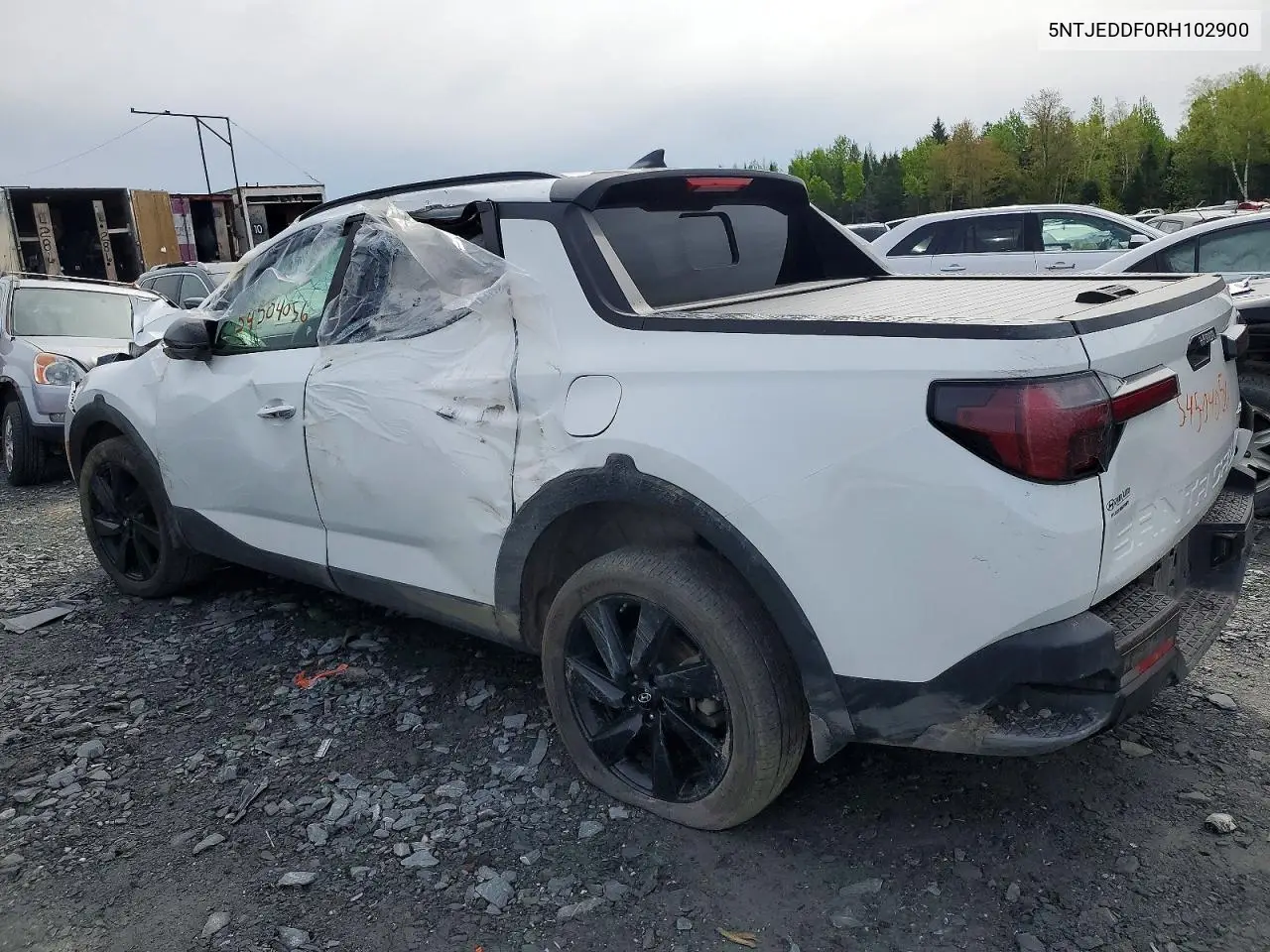 2024 Hyundai Santa Cruz Limited VIN: 5NTJEDDF0RH102900 Lot: 54504056