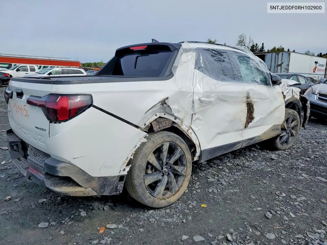 2024 Hyundai Santa Cruz Limited VIN: 5NTJEDDF0RH102900 Lot: 54504056