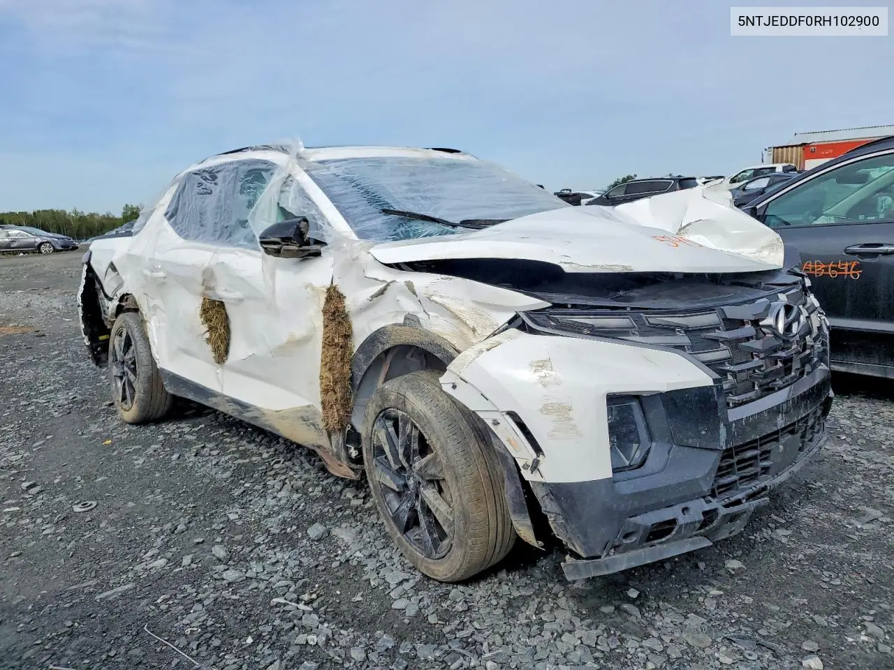 2024 Hyundai Santa Cruz Limited VIN: 5NTJEDDF0RH102900 Lot: 54504056