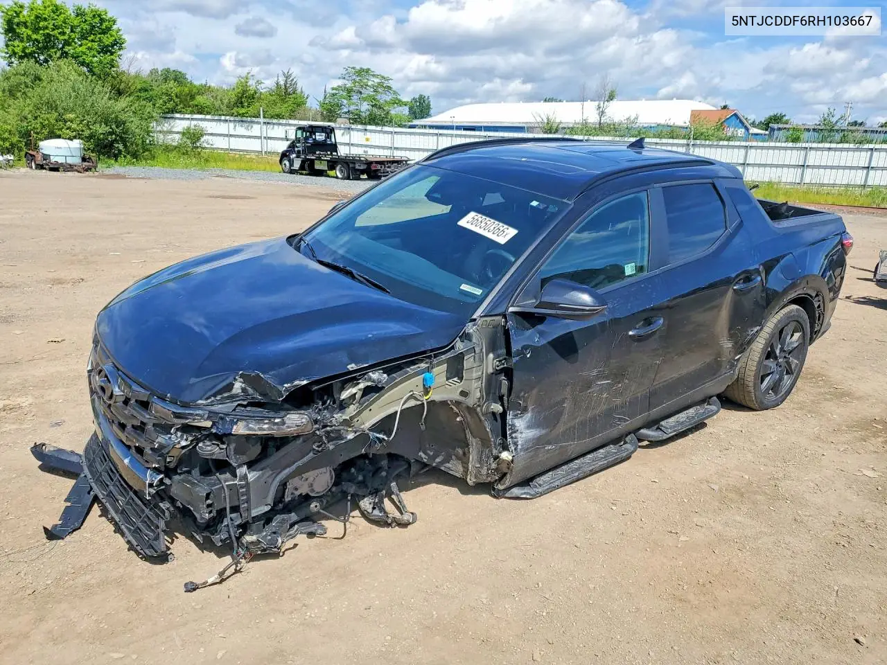 2024 Hyundai Santa Cruz Night VIN: 5NTJCDDF6RH103667 Lot: 56850366