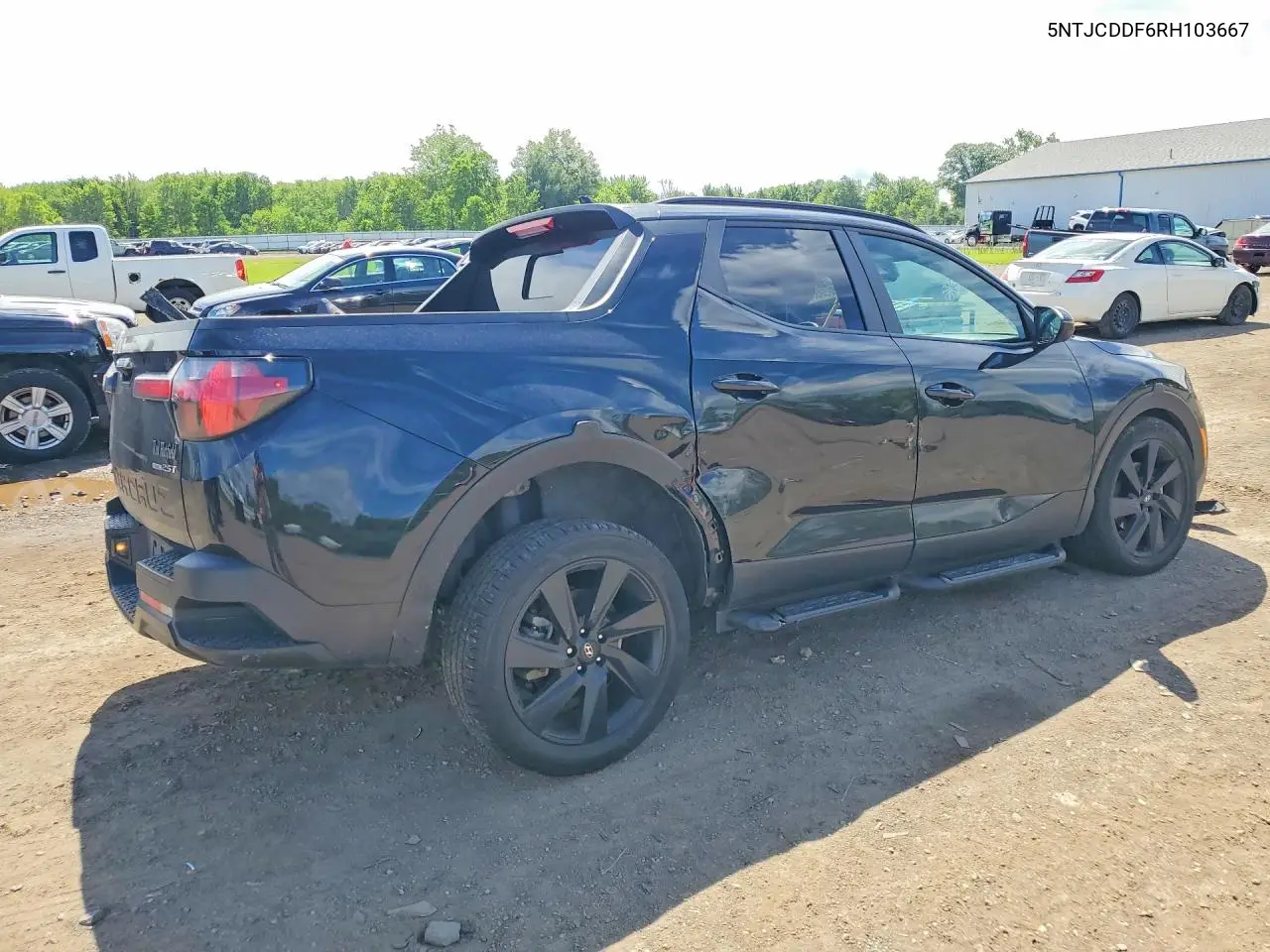 2024 Hyundai Santa Cruz Night VIN: 5NTJCDDF6RH103667 Lot: 56850366