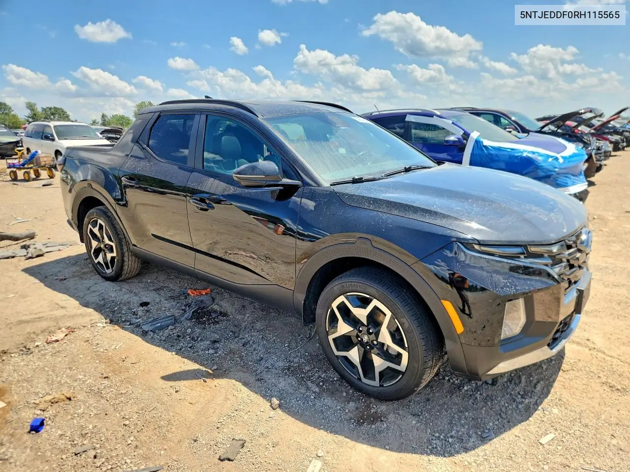 2024 Hyundai Santa Cruz Limited VIN: 5NTJEDDF0RH115565 Lot: 59613586