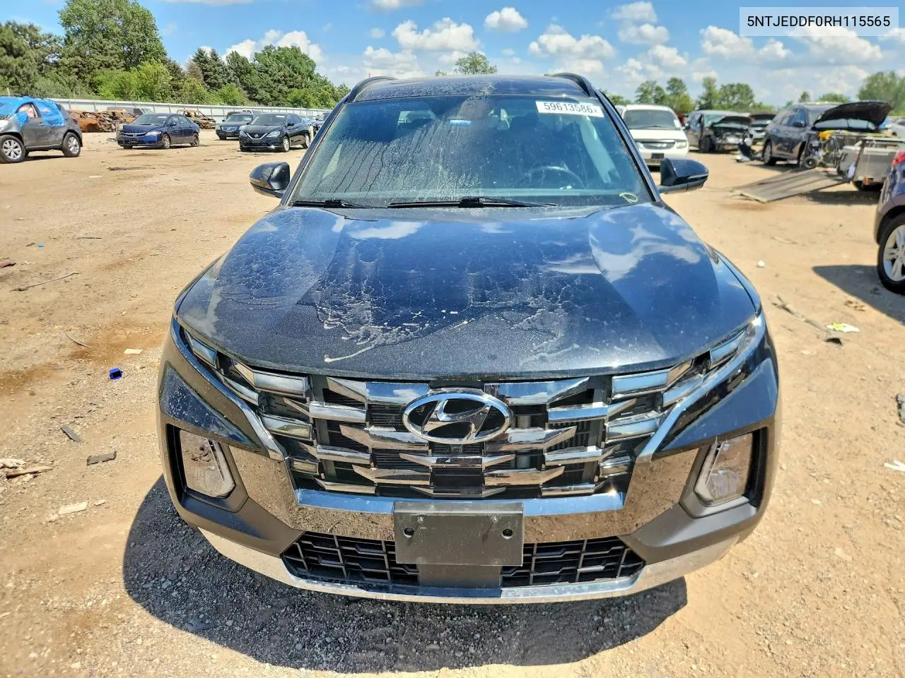 2024 Hyundai Santa Cruz Limited VIN: 5NTJEDDF0RH115565 Lot: 59613586