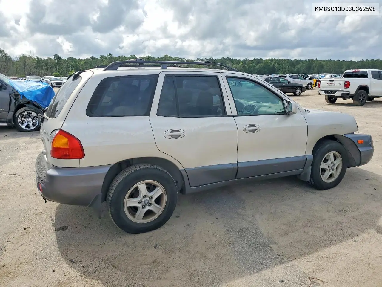 2003 Hyundai Santa Fe Gls VIN: KM8SC13D03U362598 Lot: 61142986