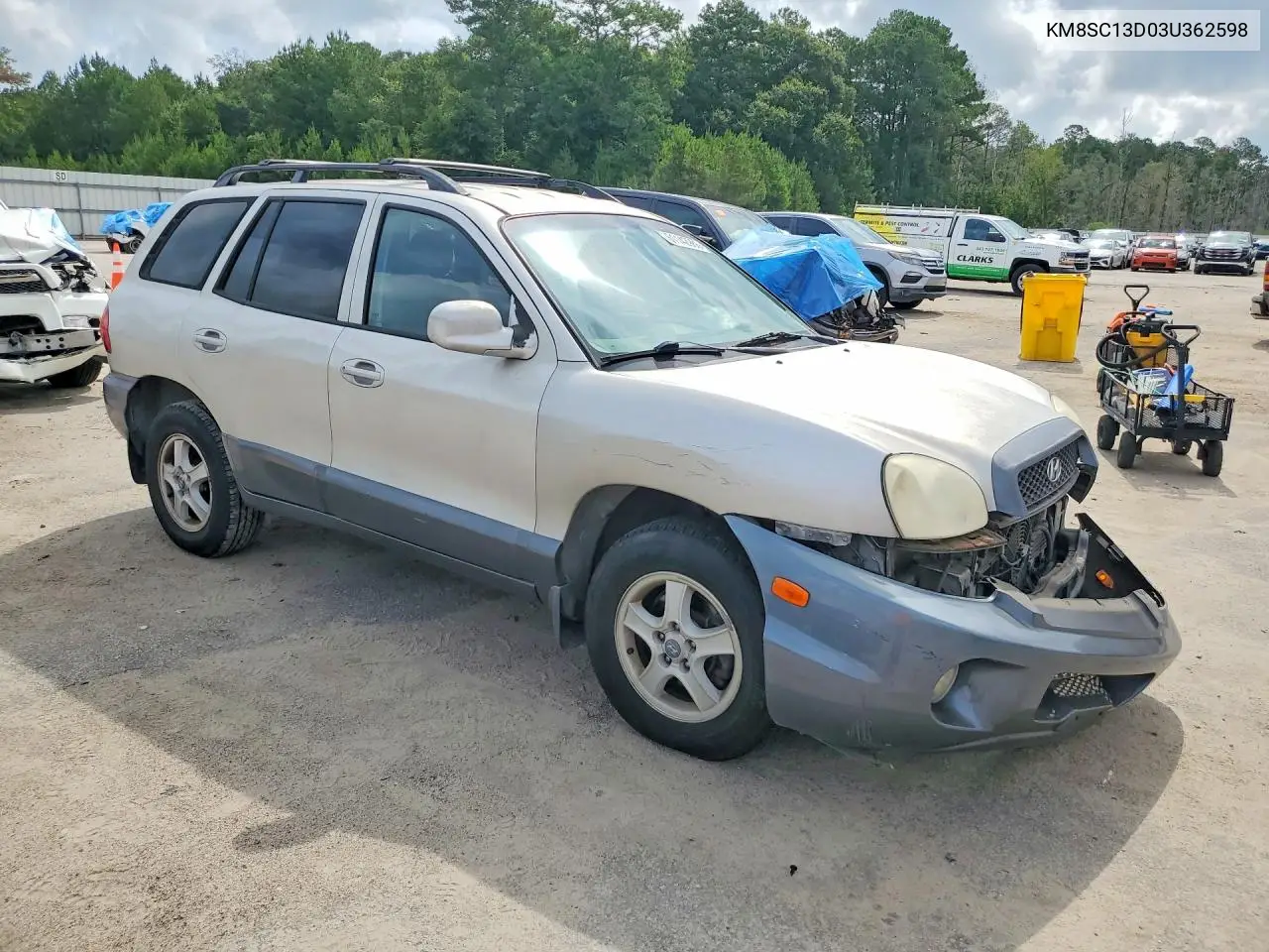 2003 Hyundai Santa Fe Gls VIN: KM8SC13D03U362598 Lot: 61142986