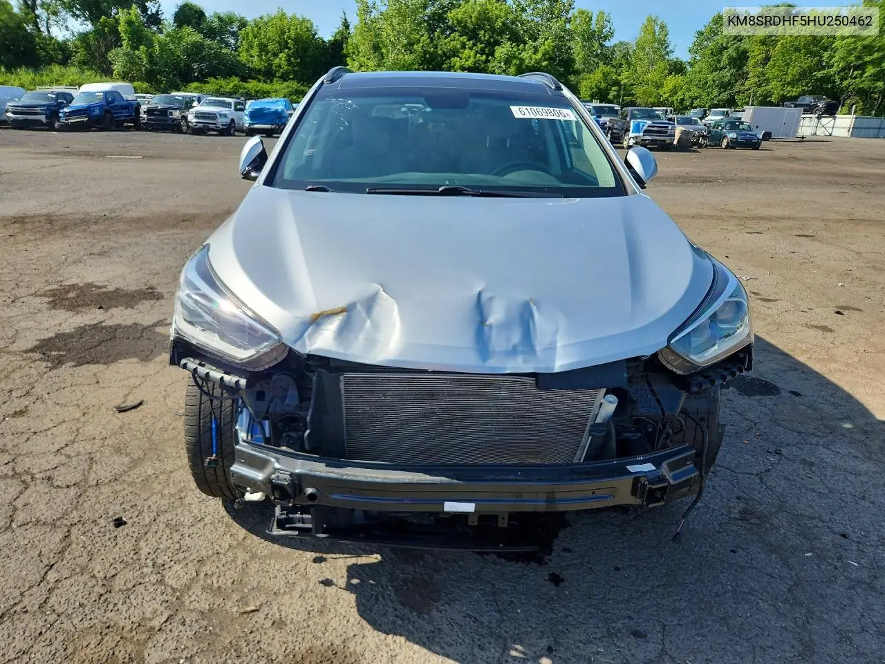 2017 Hyundai Santa Fe Limited Ultimate VIN: KM8SRDHF5HU250462 Lot: 61069806