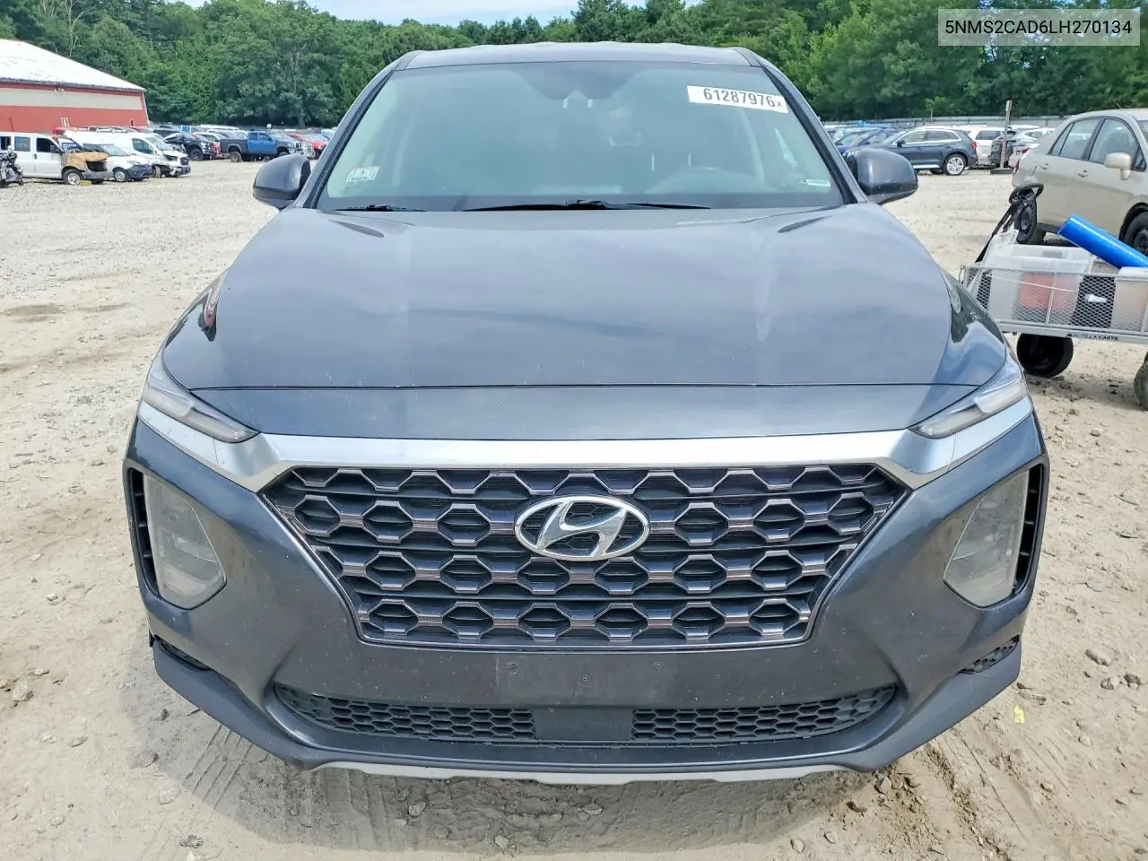2020 Hyundai Santa Fe Se VIN: 5NMS2CAD6LH270134 Lot: 61287976